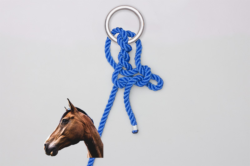 Animation: Ring Hitch Tying Ring Hitch, Step-by-Step Animation